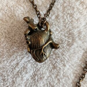Anatomical Heart Necklace Locket
